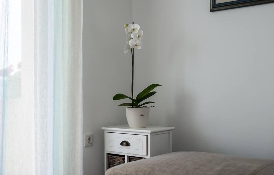 Apartments Dora Вантачичі Екстер'єр фото